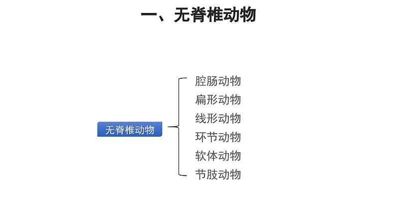 第一章 动物的主要类群课件2024年初中秋季人教版生物八年级上册03