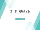 5.2.1  动物的运动习题课件2024年初中秋季人教版生物八年级上册