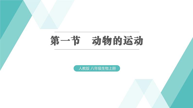 5.2.1  动物的运动习题课件2024年初中秋季人教版生物八年级上册第1页