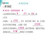 5.2.1  动物的运动习题课件2024年初中秋季人教版生物八年级上册