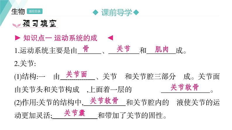 5.2.1  动物的运动习题课件2024年初中秋季人教版生物八年级上册第3页