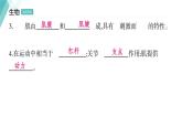 5.2.1  动物的运动习题课件2024年初中秋季人教版生物八年级上册