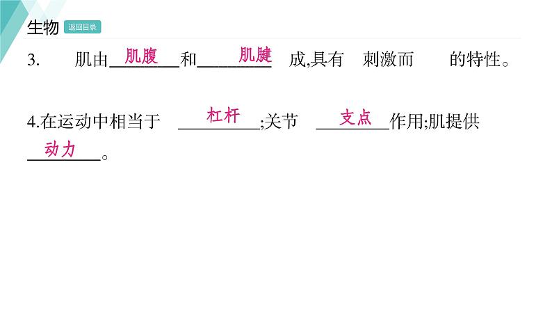 5.2.1  动物的运动习题课件2024年初中秋季人教版生物八年级上册第4页