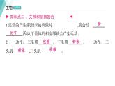 5.2.1  动物的运动习题课件2024年初中秋季人教版生物八年级上册