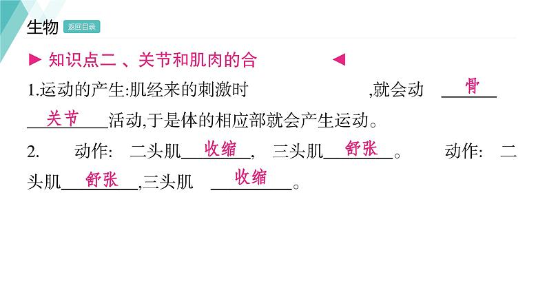 5.2.1  动物的运动习题课件2024年初中秋季人教版生物八年级上册第5页