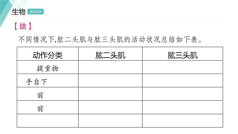 5.2.1  动物的运动习题课件2024年初中秋季人教版生物八年级上册第6页