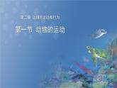 5.2.1动物的运动课件 2024年初中秋季人教版生物八年级上册