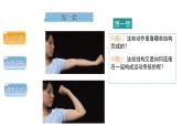 5.2.1动物的运动课件 2024年初中秋季人教版生物八年级上册