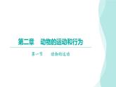 5.2.1动物的运动课件2024年初中秋季人教版生物八年级上册