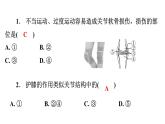 5.2.1动物的运动课件2024年初中秋季人教版生物八年级上册