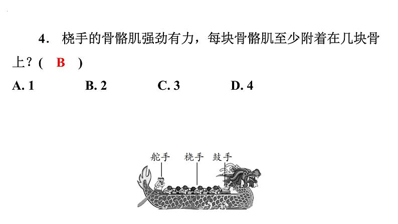 5.2.1动物的运动课件2024年初中秋季人教版生物八年级上册第7页