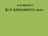 5.2.2先天性行为和学习行为 第2课时课件 2024年初中秋季人教版生物八年级上册