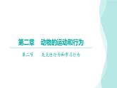 5.2.2先天性行为和学习行为习题课件2024年初中秋季人教版生物八年级上册