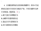 5.2.2先天性行为和学习行为习题课件2024年初中秋季人教版生物八年级上册