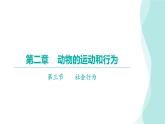 5.2.3 社会行为习题课件2024年初中秋季人教版生物八年级上册
