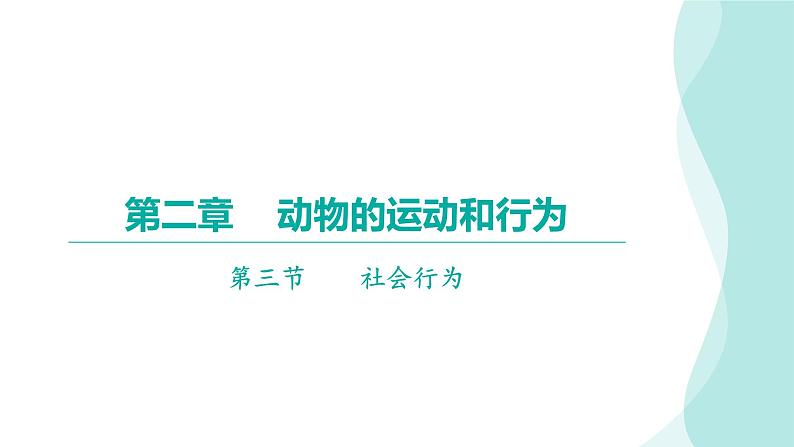 5.2.3 社会行为习题课件2024年初中秋季人教版生物八年级上册第1页