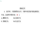 5.2.3 社会行为习题课件2024年初中秋季人教版生物八年级上册