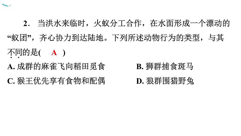 5.2.3 社会行为习题课件2024年初中秋季人教版生物八年级上册第3页