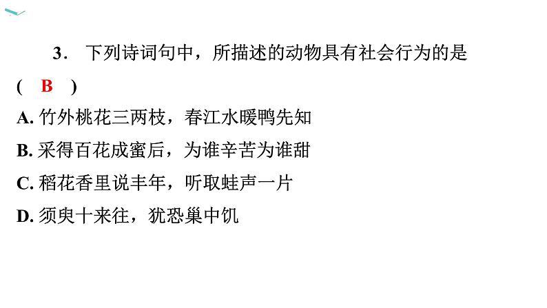 5.2.3 社会行为习题课件2024年初中秋季人教版生物八年级上册第4页