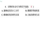 5.2.3 社会行为习题课件2024年初中秋季人教版生物八年级上册