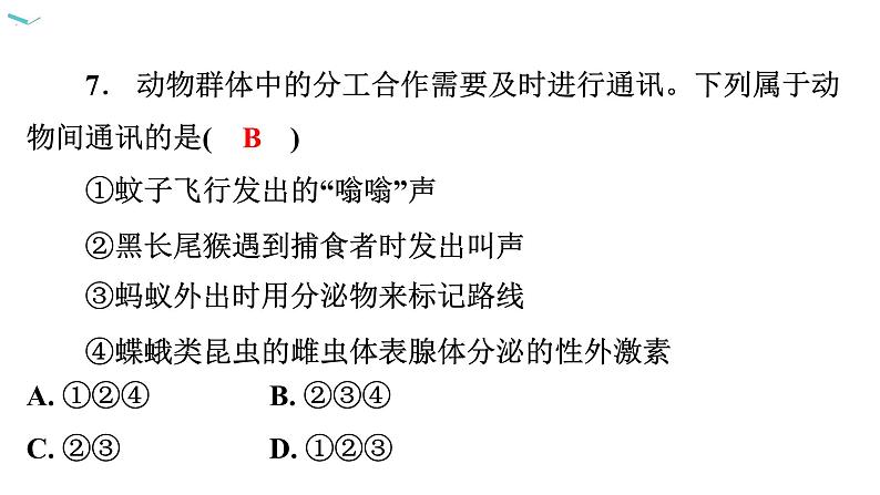 5.2.3 社会行为习题课件2024年初中秋季人教版生物八年级上册第8页