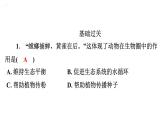5.3动物在生物圈中的作用课件2024年初中秋季人教版生物八年级上册
