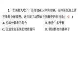 5.3动物在生物圈中的作用课件2024年初中秋季人教版生物八年级上册