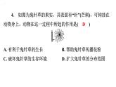5.3动物在生物圈中的作用课件2024年初中秋季人教版生物八年级上册