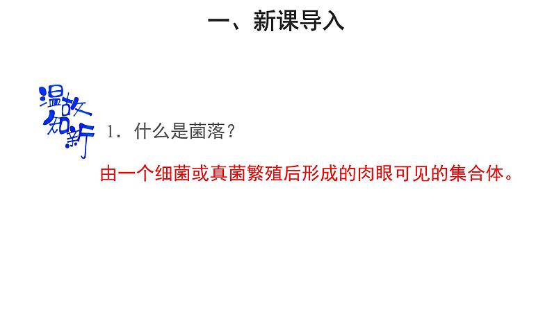 5.4.1细菌和真菌的分布 第2课时 课件2024年初中秋季人教版生物八年级上册第2页