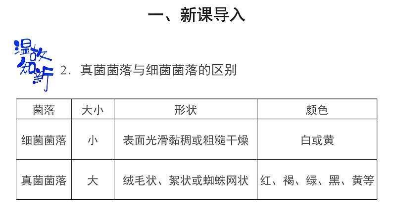 5.4.1细菌和真菌的分布 第2课时 课件2024年初中秋季人教版生物八年级上册第3页