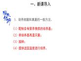 5.4.1细菌和真菌的分布 第2课时 课件2024年初中秋季人教版生物八年级上册
