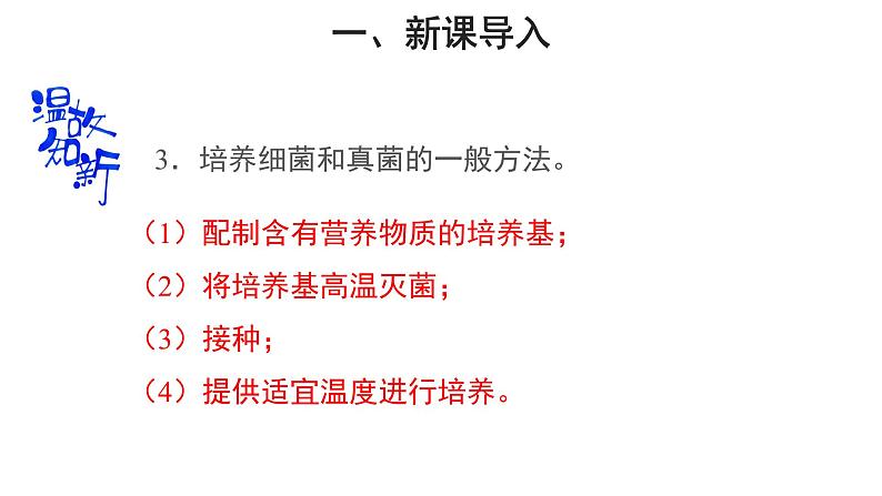 5.4.1细菌和真菌的分布 第2课时 课件2024年初中秋季人教版生物八年级上册第4页