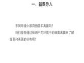 5.4.1细菌和真菌的分布 第2课时 课件2024年初中秋季人教版生物八年级上册