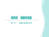 5.4.1细菌和真菌的分布习题课件2024年初中秋季人教版生物八年级上册
