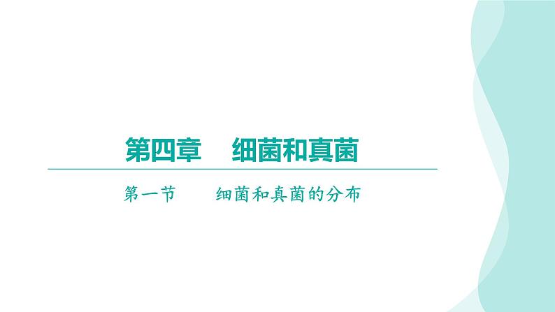 5.4.1细菌和真菌的分布习题课件2024年初中秋季人教版生物八年级上册第1页