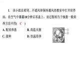 5.4.1细菌和真菌的分布习题课件2024年初中秋季人教版生物八年级上册