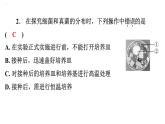 5.4.1细菌和真菌的分布习题课件2024年初中秋季人教版生物八年级上册
