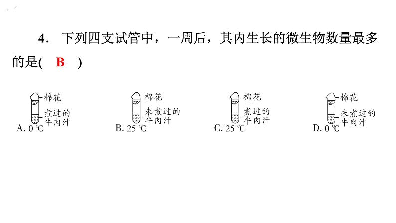 5.4.1细菌和真菌的分布习题课件2024年初中秋季人教版生物八年级上册第6页