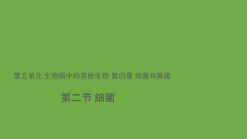 5.4.2 细菌 课件----2024年初中秋季人教版生物八年级上册第1页