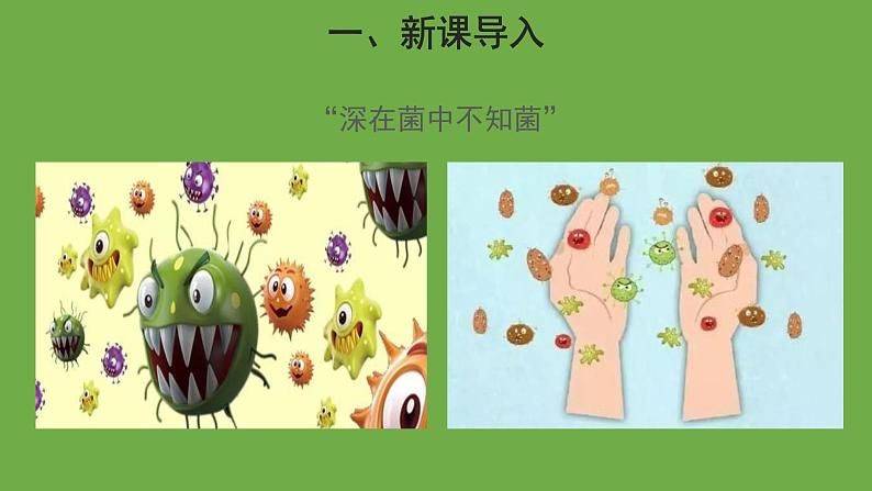 5.4.2 细菌 课件----2024年初中秋季人教版生物八年级上册第2页