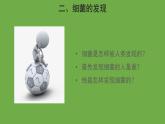 5.4.2 细菌 课件----2024年初中秋季人教版生物八年级上册