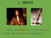 5.4.2 细菌 课件----2024年初中秋季人教版生物八年级上册