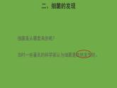 5.4.2 细菌 课件----2024年初中秋季人教版生物八年级上册