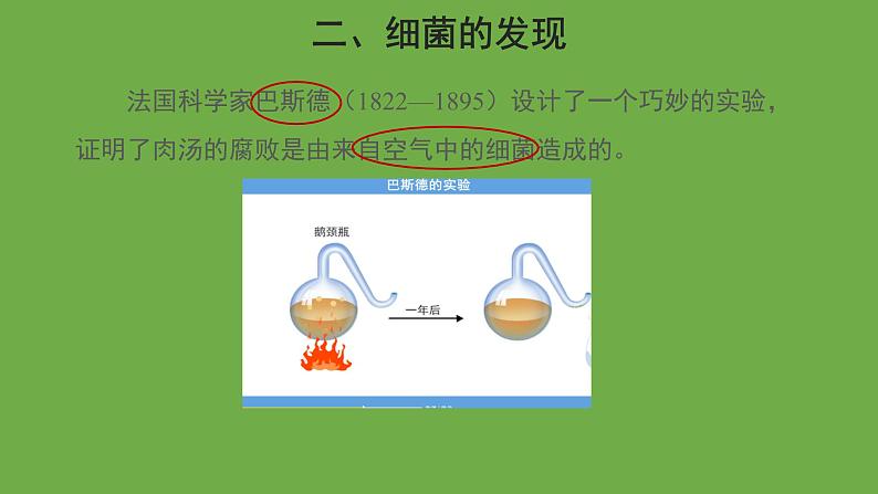 5.4.2 细菌 课件----2024年初中秋季人教版生物八年级上册第6页