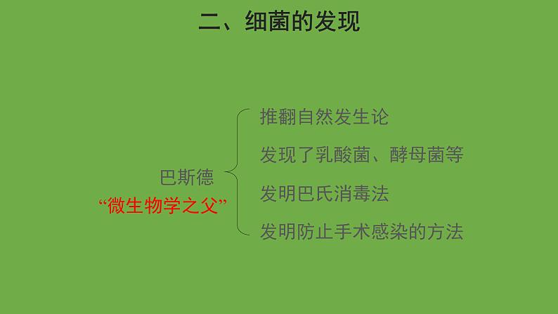 5.4.2 细菌 课件----2024年初中秋季人教版生物八年级上册第8页