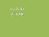 5.4.2 细菌 课件2024年初中秋季人教版生物八年级上册