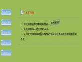 5.4.2 细菌 课件2024年初中秋季人教版生物八年级上册