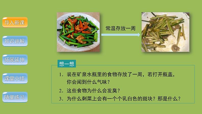 5.4.2 细菌 课件2024年初中秋季人教版生物八年级上册第3页