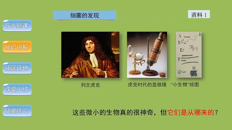 5.4.2 细菌 课件2024年初中秋季人教版生物八年级上册第4页