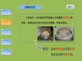5.4.2 细菌 课件2024年初中秋季人教版生物八年级上册